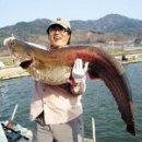 청룡저수지 이미지