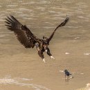 고령식당 이미지