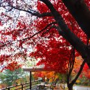 호명입구 이미지