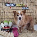 멍발머리 이미지