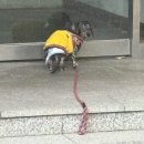 머랭보이즈 | 11월(3)_네가 아니면 안 된다는 그 말이야