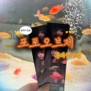상수전철역 2번출구 | 홍대에서 물고기와 함께 몽환적인 네컷사진 찍고온 후기_포토오브제 홍대상수점