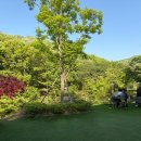 분당 율동공원 카페 디저트39 주차 메뉴 크로칸슈 내돈내산 솔직 후기