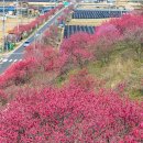 &#34;산 그리고 바다&#34; 28회차 정기산행 - 2024년 4월 13일 금강벼룻길, 잠두길, 강변, 수채화길 트래킹(전북 무주) 이미지