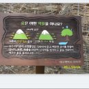 수목원매점