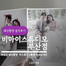 웨딩촬영 비마이스튜디오 부산점 오전촬영 내돈내산 솔직 후기