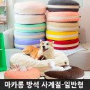 초코펫하우스