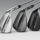 SM골프존 이미지