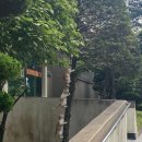 그린풀 Green Pool