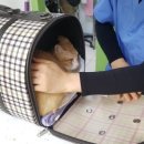 ZOO동물병원 이미지