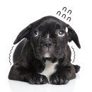 ATOZ피티샵 이미지