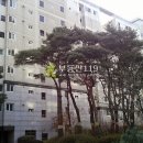 사임당로17길 80 이미지