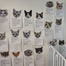 701아를고양이카페(cat in the art) 이미지