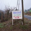 백야식당 이미지