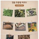 비거농장 이미지