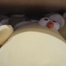 1020 쇼핑몰 옆 네이버블로그