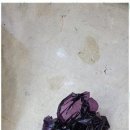 스카이 카서비스 이미지