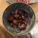 양떼마트 | 나트랑 커플 여행기 2편｜더아남 리조트 후기 + 판랑 사막투어·양떼목장 투어