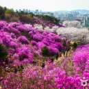부천중앙공원공영주차장 이미지