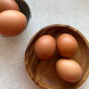 완숙미인토마토 | 삶은 계란, 구운 계란? 이너뷰티와 피부 미인을 위한 완벽한 식단!