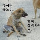 월 - 천안시 동남구 청수11로 24 | 월