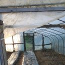 정금농장 이미지