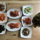 대통령우렁이
