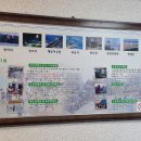 장사항활어직판장 이미지