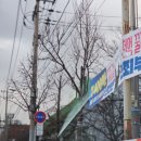 비어클럽 | 인천 나들이 트레이더스 홀세일클럽 송림점 주말 방문 주차요금 및 후기