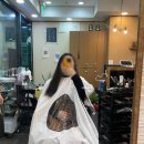 소피아헤어샵 이미지