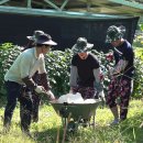 초천4리 이미지