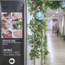 엘림케어 | 제주도마사지추천 서귀포마사지 올레시장 근처 엠스테이호텔 엘림아로마
