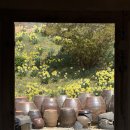 한마음목장 | 서산 1박 2일 여행 * 유기방 가옥부터 서산 한우목장 웰빙산책로까지! (봄 수선화, 벚꽃 구경, 3월 말)