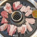 중문하은이네뽈살김밥 이미지