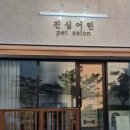진심어린펫살롱 이미지