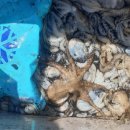 대박터진날 이미지