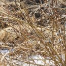 산책가는길 이미지