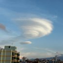 하늘달팽이 이미지