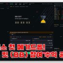 메가코인 | 바이낸스 첫 메가 드롭 바운스 빗(BB) 코인 상장일 매도 후기