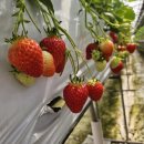 태권농장 이미지