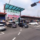 순천만둥지 | 7편] 화성 공룡알화석지 완전 정복 | 아이와 가볼 만한 곳, 공룡 생태 체험·탐방코스·주차 총정리
