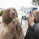 마뜨료쉬카 이미지