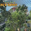 주식회사 참잘함 | 카타르항공 (인천-도하-리스본)바르셀로나 비행기 환승 후기