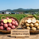 홍양농장 이미지