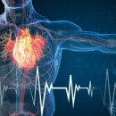 로얄 휘트니스 이미지