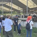 부여목장 이미지