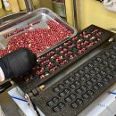 영천시장 | 🥜인생 땅콩빵 발견.. 땅콩이 빵보다 많은 옹기종기 땅콩빵 영천시장 맛집 솔직후기