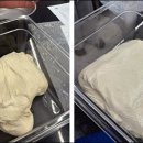 빵굼터제과