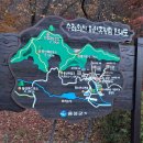 수레의산자연휴양림 이미지