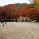 금원농장 이미지